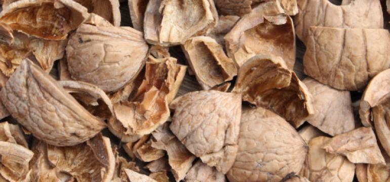 WALNUT SHELLS